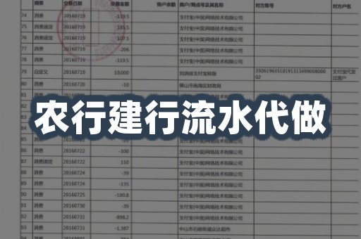 农行建行流水代做
